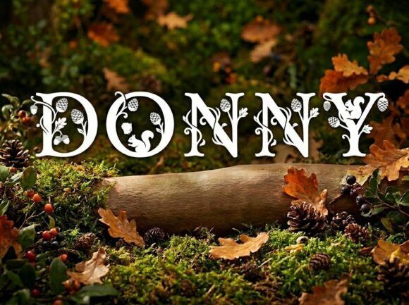 Donny: A Decorative Display Font for Headlines and Logos